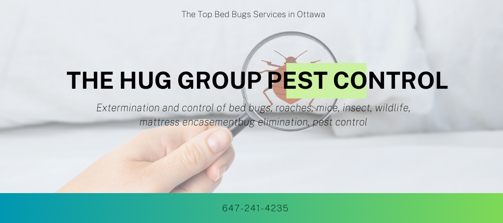 the-hug-group-pest-control